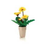 Gerbera Yellow